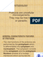 Introdu. Protozoa 2nd Year Module