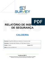 Laudo - Caldeira - Frigorífico Millenium - 2022