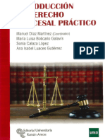 Introduccional Derecho Procesal Practico