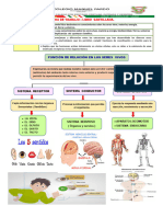 Ficha Trabajo Segundo III Bim Santillana