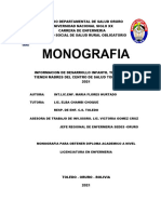 Monografia Toledo 1