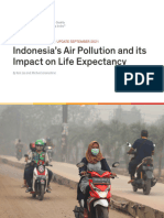 Indonesia's Air Pollution and Its Impact On Life Expectancy