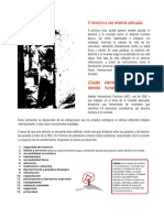 El Derecho A Una Vivienda Adecuada