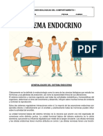 Sistema Endocrinio