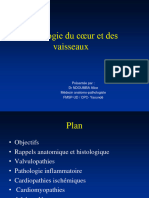 Pathologie Du Systéme Cardiovasculaire