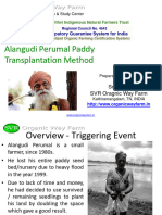 Alangudi Perumal Paddy Transplantation Method 