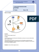 S V T - Ce2 - Le Role Des Organes de Sens