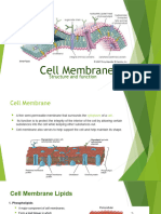 Cell Membrane