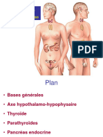 Cours Physiologie Systeme Endocri Nien 2017 2ème Année Médecine