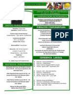 Curriculum Actual JORGE