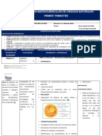 10mo - Ccnn-Planificacion Disiplinar - 1er - Trimestre (4 Semanas)