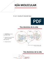 Biol Mol Primer Parcial