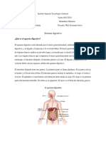 Tarea2.4 - Sistema Digestivo