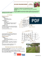 Fiche Technique Palissage Framboisier 2012