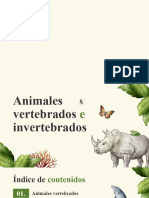 Vertebrados e Invertebrados