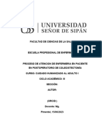 Proceso de Atención de Enfermería Aplicado en Paciente Postoperada de Colecistectomía