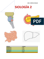 Fisiología 2 - Vinícius Ovelar