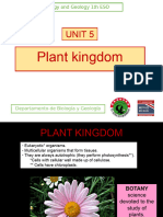 05 Plant Kingdom