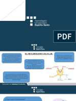 El Metabolismo Celular