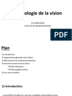 Cours Vision