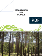 Bosque