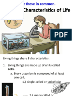 Unit 2 Characteristics of Cells Lesson Week 7and 8