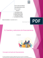 5.2 Fuentes de Estructura y Financiamiento.