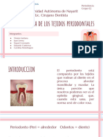 Periodoncia 