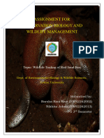 Wildlife Trading of Rerd Sand Boa