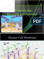 Cell Membrane