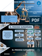 Grupo 9 - Proceso Comun Sumarisimo