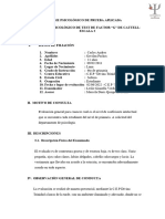 Informe de Test de Cattell 2 Carlos Gavilan