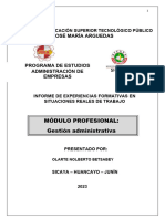 Informe de Practicas Betsabey Olarte Nolberto