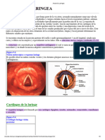 Anatomía Laringea