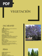 Vegetación y Características