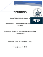 Tarea 4 (Sentidos)