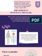 Par Craneal IV