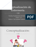 1.1.1.conceptualización de Enfermería