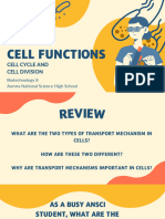 Cell Cycle Mitosis