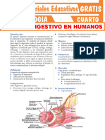 Aparato Digestivo Humano para Cuarto Grado de Secundaria