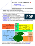 Uma Panorâmica Geral Das Vias Metabólicas Avançadissimo