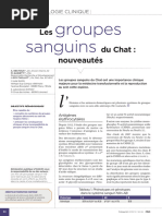 Les Groupes Sanguins Du Chat