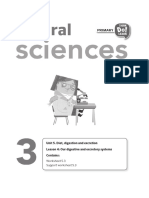 NS3 Unit5 Lesson4 Worksheet