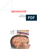 Meningitis Microbiology