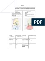 Neurotransmisores