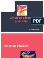 Cancer Pancreas 2