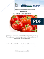 Estudio Del Tomate