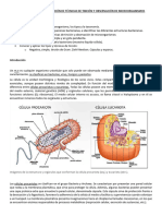 UD2 - Aplicación de Técnicas de Tinción y Observación M.O