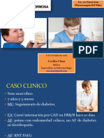 Diabetes Mellitus Dra Cecilia Closs