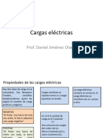 Cargas Electricas